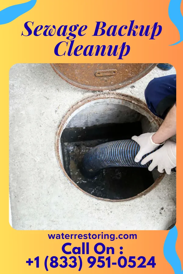 Sewage Backup Cleanup in Amherst, WI