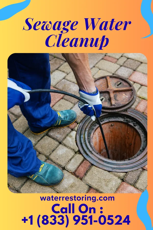 Sewage Water Cleanup in Amherst, WI