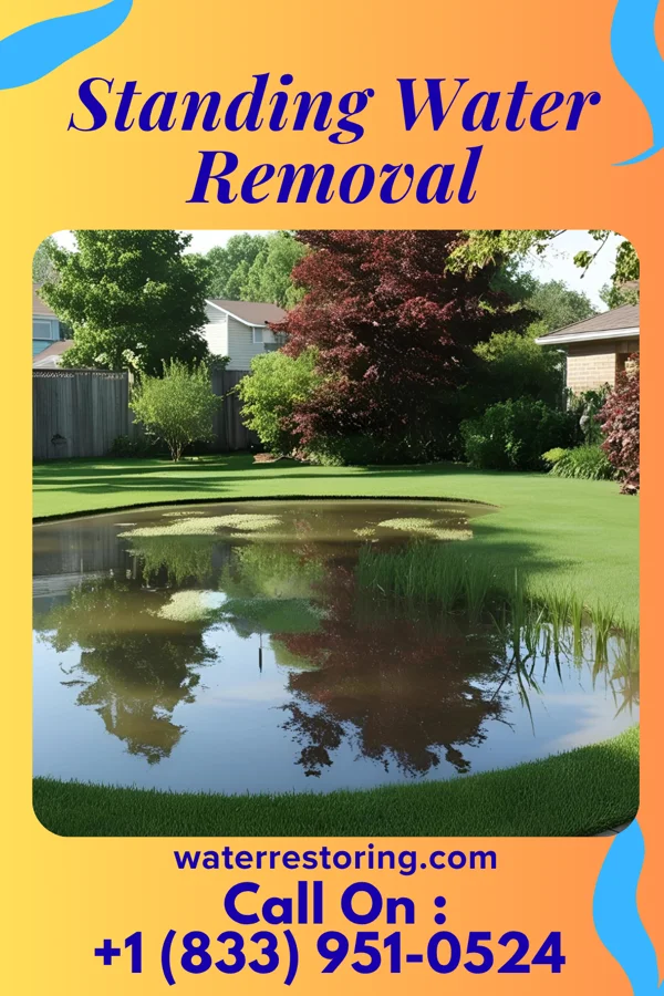 Standing Water Removal in Amherst, WI